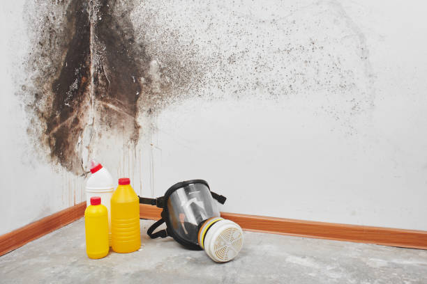 Mooresville, NC Mold Removal Company