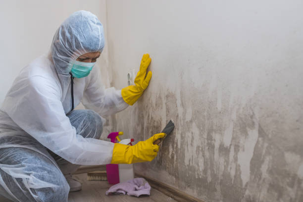 Best Black Mold Removal  in Mooresville, NC