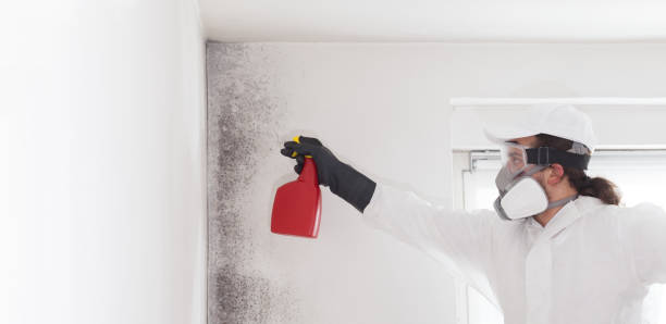 Best Professional Mold Removal  in Mooresville, NC