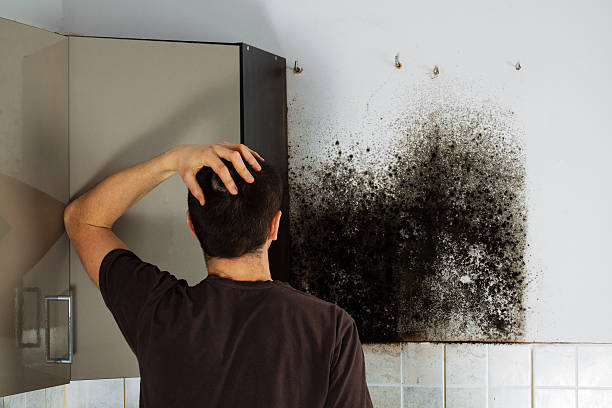 Best Toxic Mold Removal  in Mooresville, NC